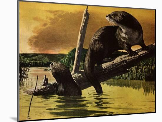 Otters Fear Forest Fire, 1952-Stan Galli-Mounted Giclee Print