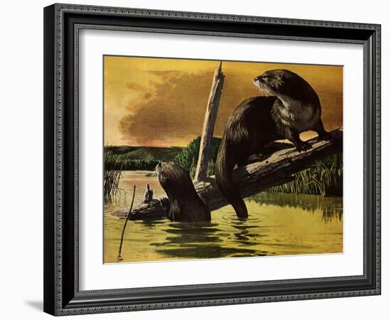 Otters Fear Forest Fire, 1952-Stan Galli-Framed Giclee Print