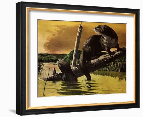 Otters Fear Forest Fire, 1952-Stan Galli-Framed Giclee Print