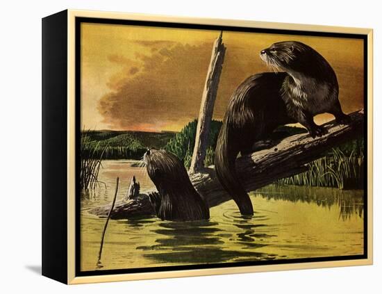 Otters Fear Forest Fire, 1952-Stan Galli-Framed Premier Image Canvas