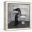 Otters Playing in Bathroom-Wallace Kirkland-Framed Premier Image Canvas