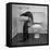 Otters Playing in Bathroom-Wallace Kirkland-Framed Premier Image Canvas