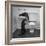 Otters Playing in Bathroom-Wallace Kirkland-Framed Premium Photographic Print