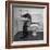 Otters Playing in Bathroom-Wallace Kirkland-Framed Premium Photographic Print