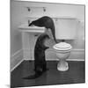 Otters Playing in Bathroom-Wallace Kirkland-Mounted Premium Photographic Print