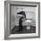 Otters Playing in Bathroom-Wallace Kirkland-Framed Photographic Print