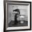 Otters Playing in Bathroom-Wallace Kirkland-Framed Photographic Print