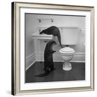 Otters Playing in Bathroom-Wallace Kirkland-Framed Photographic Print