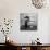 Otters Playing in Bathroom-Wallace Kirkland-Photographic Print displayed on a wall