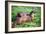 Otters-Peter Thompson-Framed Photographic Print