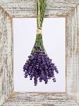 Lavender Hanging Up to Dry-Ottmar Diez-Framed Photographic Print