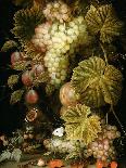 Still Life of Grapes and Vines, 1666-Ottmar the Elder Elliger-Framed Premier Image Canvas