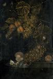 Still Life of Grapes and Vines, 1666-Ottmar the Elder Elliger-Framed Premier Image Canvas