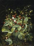 Wild Strawberries-Otto Diderich Ottesen-Giclee Print