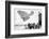 Otto Lilienthal's Glider, 19th Century-Science Photo Library-Framed Photographic Print