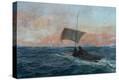 Stretched Canvas Print
