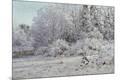 Giclee Print