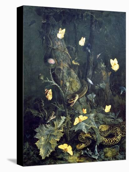Stretched Canvas Print, , large