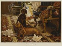 Three Dachshunds around a Chair in a Living Room-Otto Weber-Giclee Print