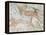 Ottoman Empire Historical Development Old Map (Between 1792 And 1878)-marzolino-Framed Stretched Canvas