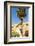 Ottoman Monumental Gate, La Goulette, Tunisia, North Africa-Nico Tondini-Framed Photographic Print