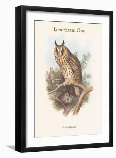 Otus Vulgaris - Long-Eared Owl-John Gould-Framed Art Print