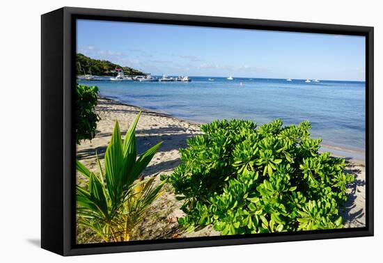 Oualie Beach, Nevis, St. Kitts and Nevis, Leeward Islands, West Indies, Caribbean, Central America-Robert Harding-Framed Premier Image Canvas