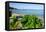 Oualie Beach, Nevis, St. Kitts and Nevis, Leeward Islands, West Indies, Caribbean, Central America-Robert Harding-Framed Premier Image Canvas