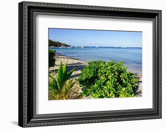 Oualie Beach, Nevis, St. Kitts and Nevis, Leeward Islands, West Indies, Caribbean, Central America-Robert Harding-Framed Photographic Print