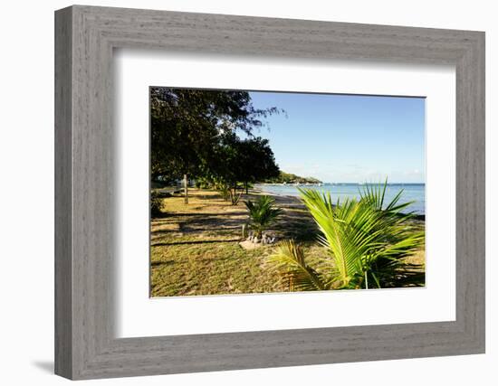 Oualie Beach, Nevis, St. Kitts and Nevis, Leeward Islands, West Indies, Caribbean, Central America-Robert Harding-Framed Photographic Print