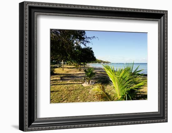 Oualie Beach, Nevis, St. Kitts and Nevis, Leeward Islands, West Indies, Caribbean, Central America-Robert Harding-Framed Photographic Print