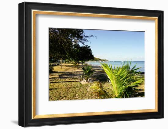 Oualie Beach, Nevis, St. Kitts and Nevis, Leeward Islands, West Indies, Caribbean, Central America-Robert Harding-Framed Photographic Print