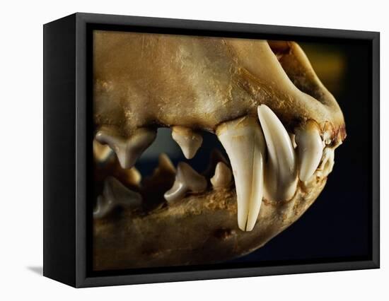 Ouch-Nathan Griffith-Framed Premier Image Canvas