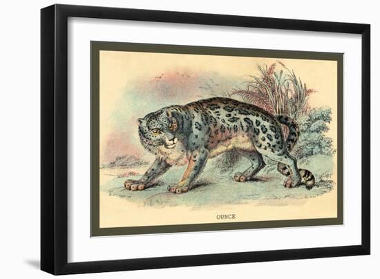 Ounce-Sir William Jardine-Framed Art Print