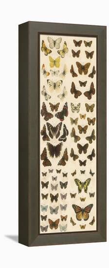 Our British Butterflies-English School-Framed Premier Image Canvas