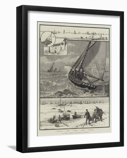 Our Fishing Industries, Oyster Dredging at Whitstable-null-Framed Giclee Print