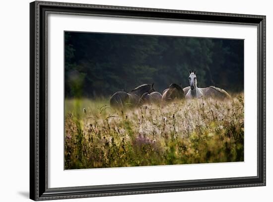 Our Garden-Milan Malovrh-Framed Photographic Print