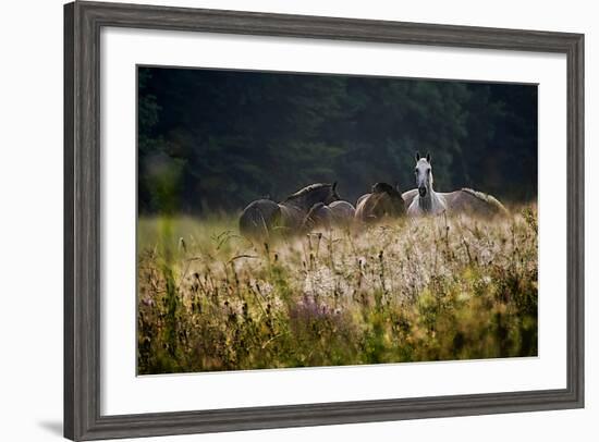 Our Garden-Milan Malovrh-Framed Photographic Print