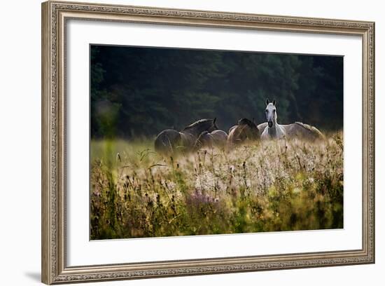 Our Garden-Milan Malovrh-Framed Photographic Print