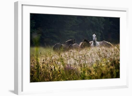 Our Garden-Milan Malovrh-Framed Photographic Print