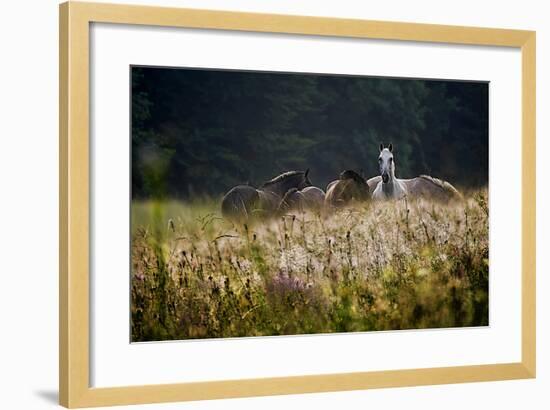 Our Garden-Milan Malovrh-Framed Photographic Print