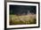 Our Garden-Milan Malovrh-Framed Photographic Print