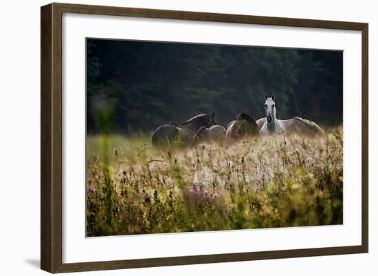 Our Garden-Milan Malovrh-Framed Photographic Print