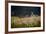 Our Garden-Milan Malovrh-Framed Photographic Print