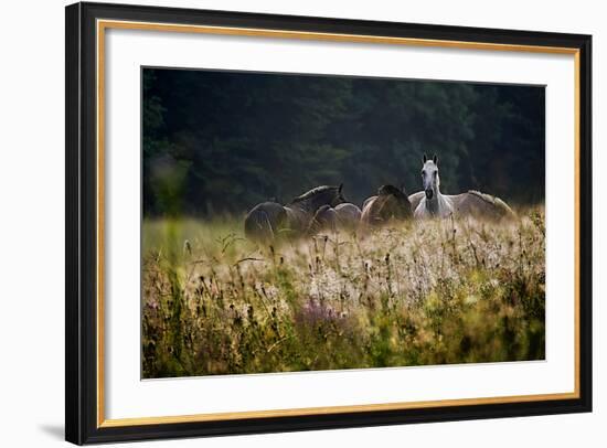 Our Garden-Milan Malovrh-Framed Photographic Print