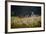 Our Garden-Milan Malovrh-Framed Photographic Print