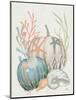 Our Home Shells I-Janelle Penner-Mounted Art Print