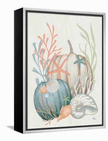 Our Home Shells I-Janelle Penner-Framed Stretched Canvas