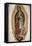 Our Lady of Guadalupe-null-Framed Premier Image Canvas