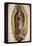 Our Lady of Guadalupe-null-Framed Premier Image Canvas